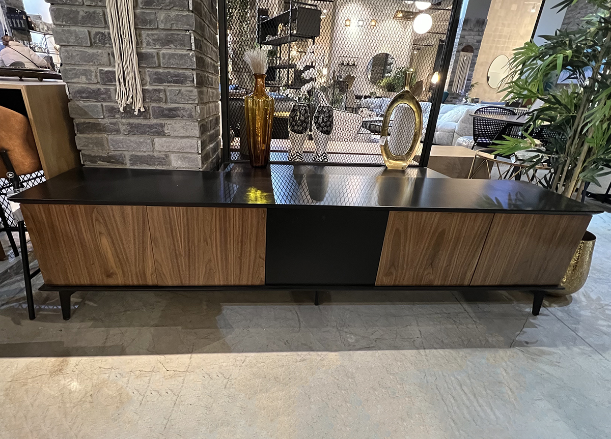 מזנון דגם פלאזמה מזנון דגם פלאזמה