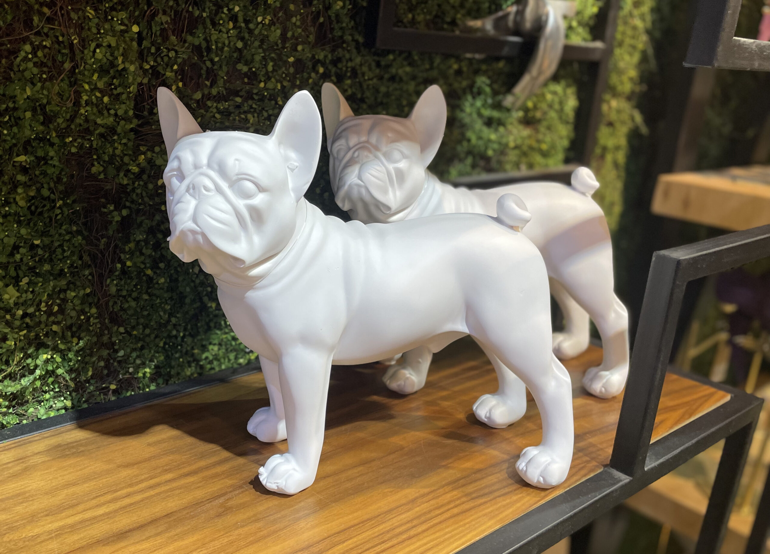 פסל כלב בולדוג לבן פסל כלב בולדוג לבן