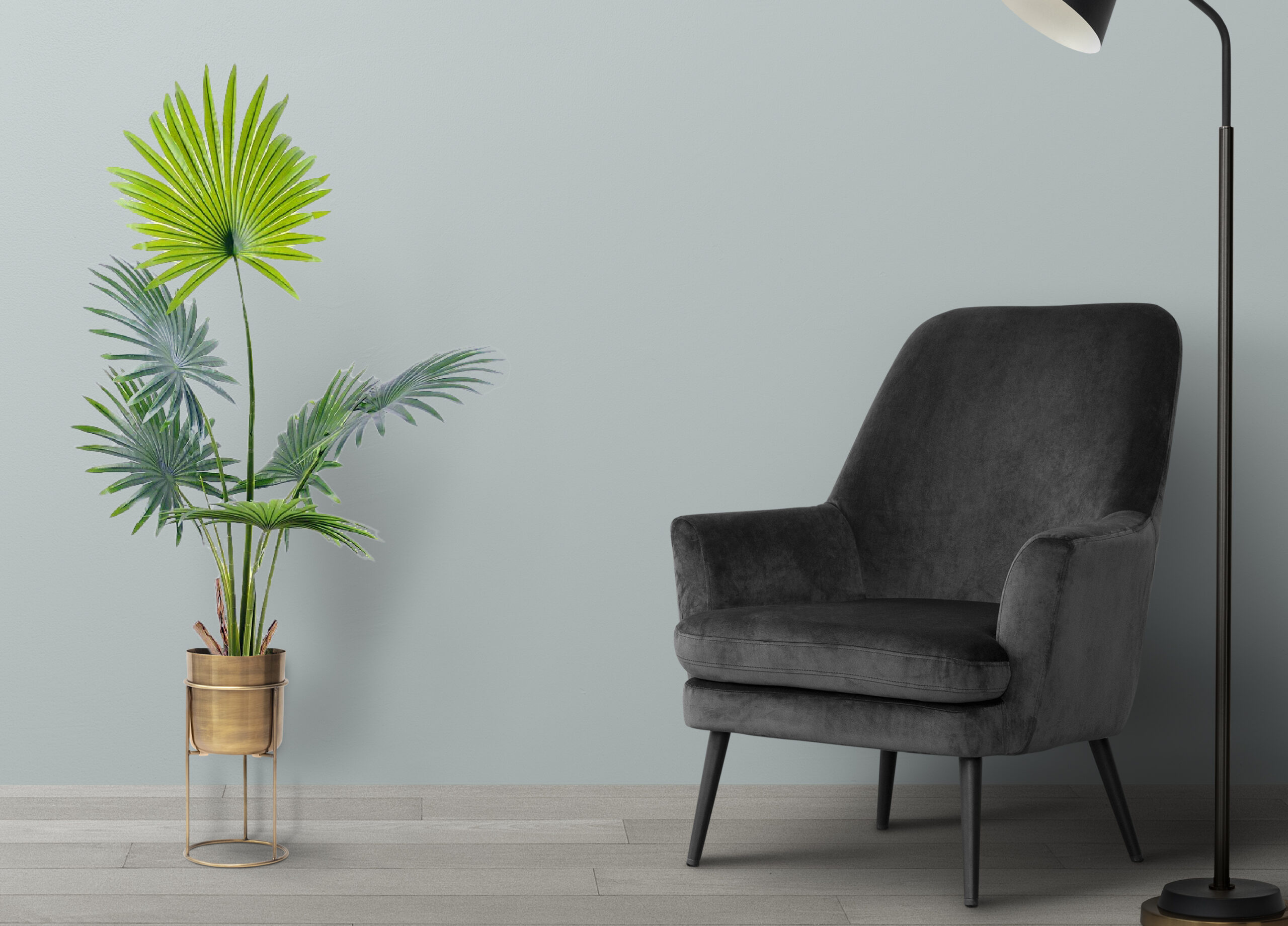 עציץ ליויסטונה