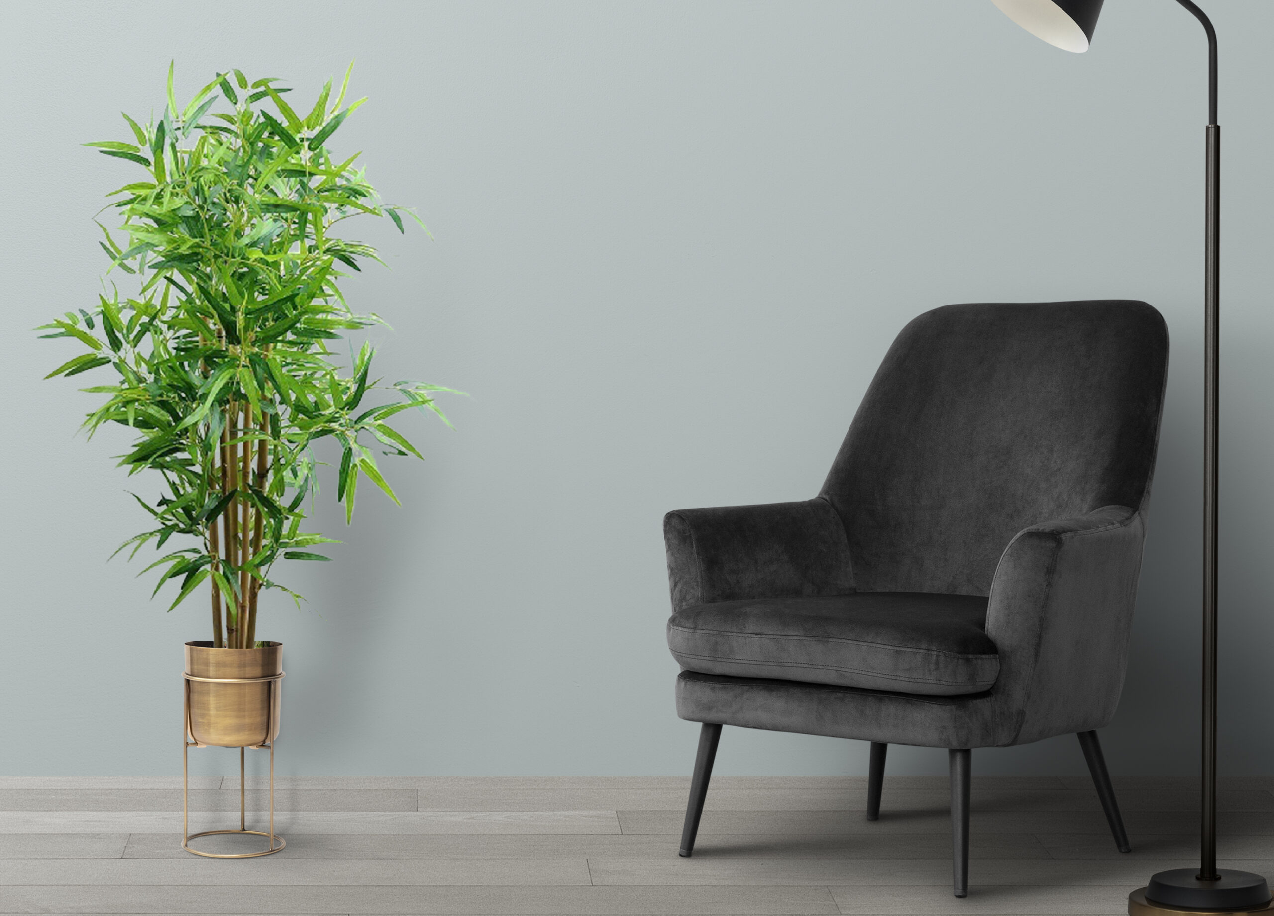 עציץ במבוק עציץ במבוק