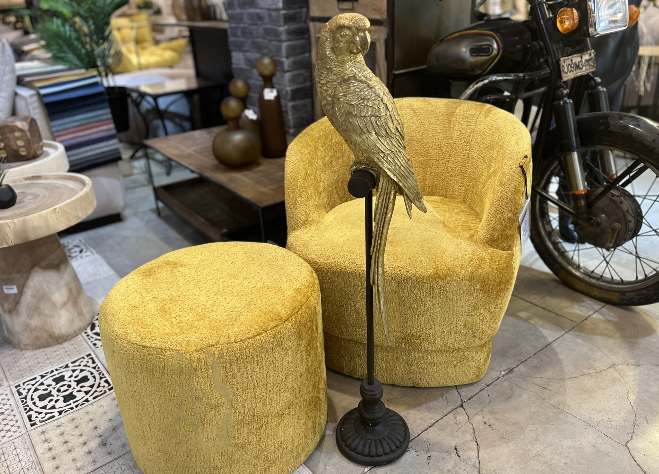 פסל תוכי על מעמד זהב ענק פסל תוכי על מעמד זהב ענק