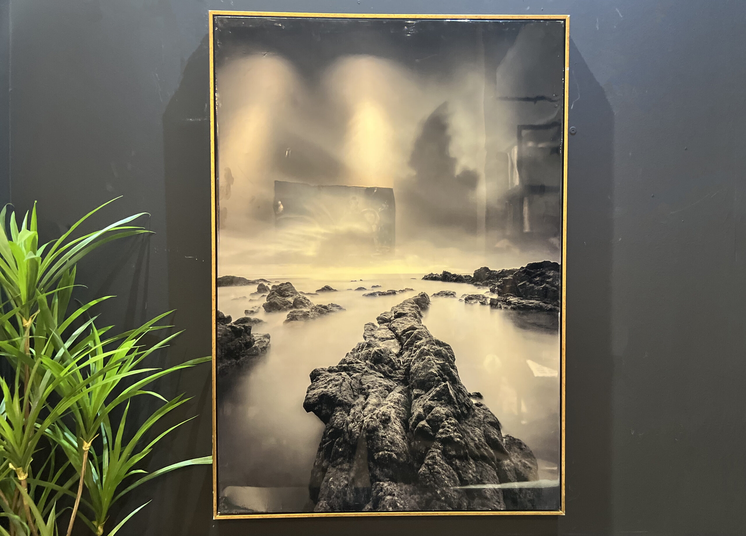 תמונה מבריקה נוף תמונה מבריקה נוף