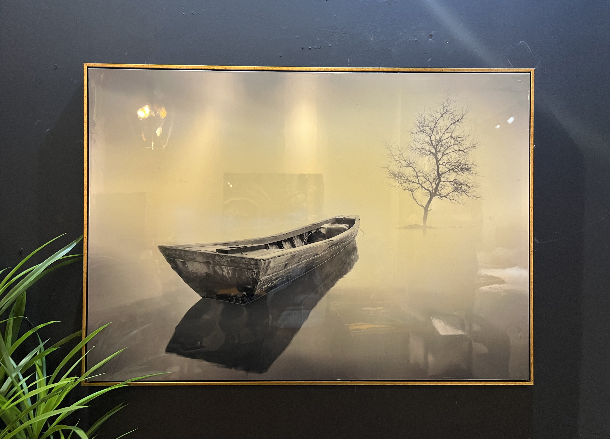 תמונה מבריקה סירה תמונה מבריקה סירה