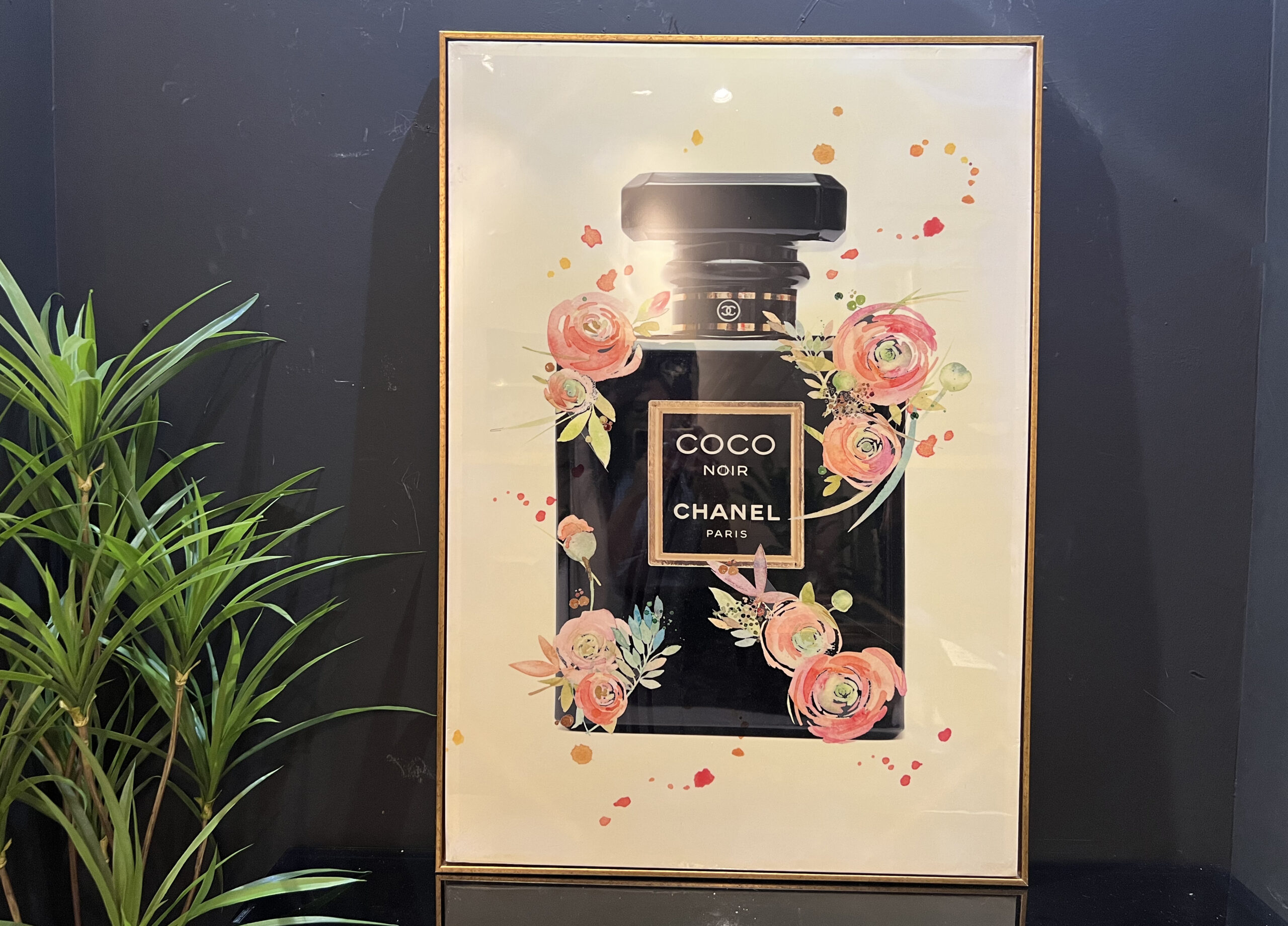 תמונה מבריקה שנאל