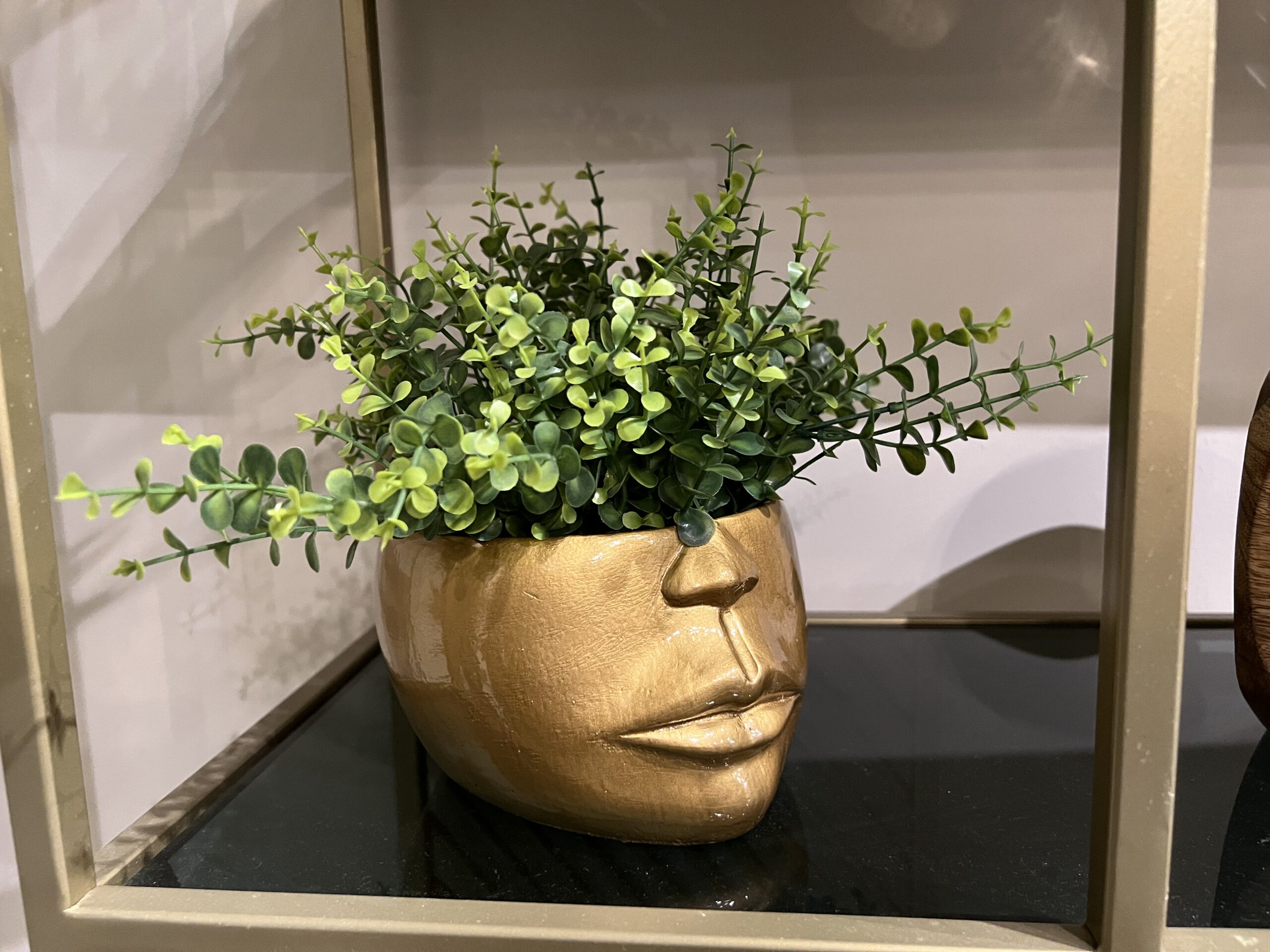 כד זהב מבריק חצי פנים כד זהב מבריק חצי פנים