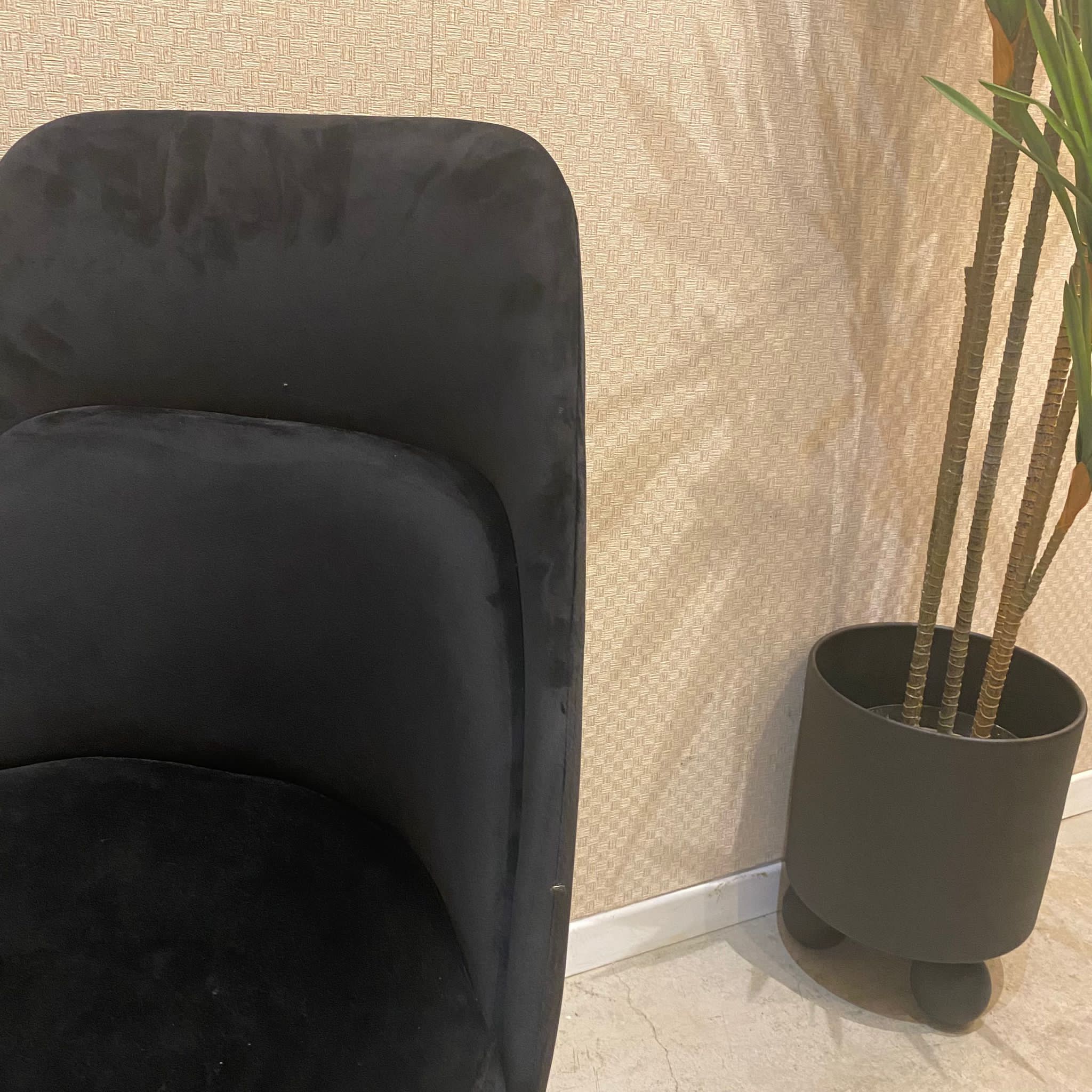 כיסא דגם למלו קימי שחור קטיפה כיסא דגם למלו קימי שחור קטיפה