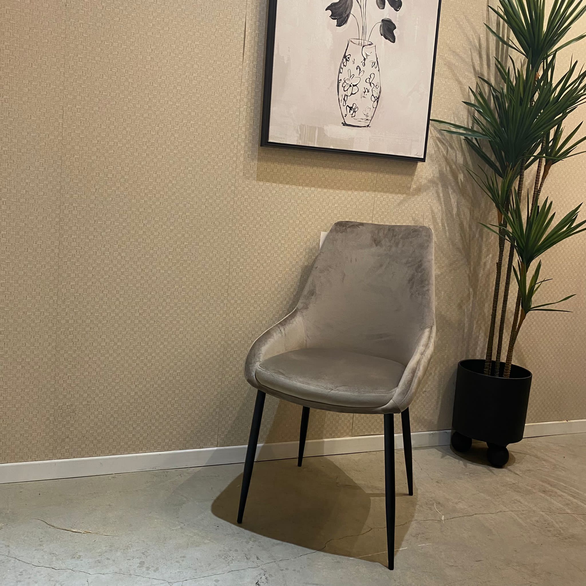 כיסא פינת אוכל דגם אופל קטיפה בז כיסא פינת אוכל דגם אופל קטיפה בז