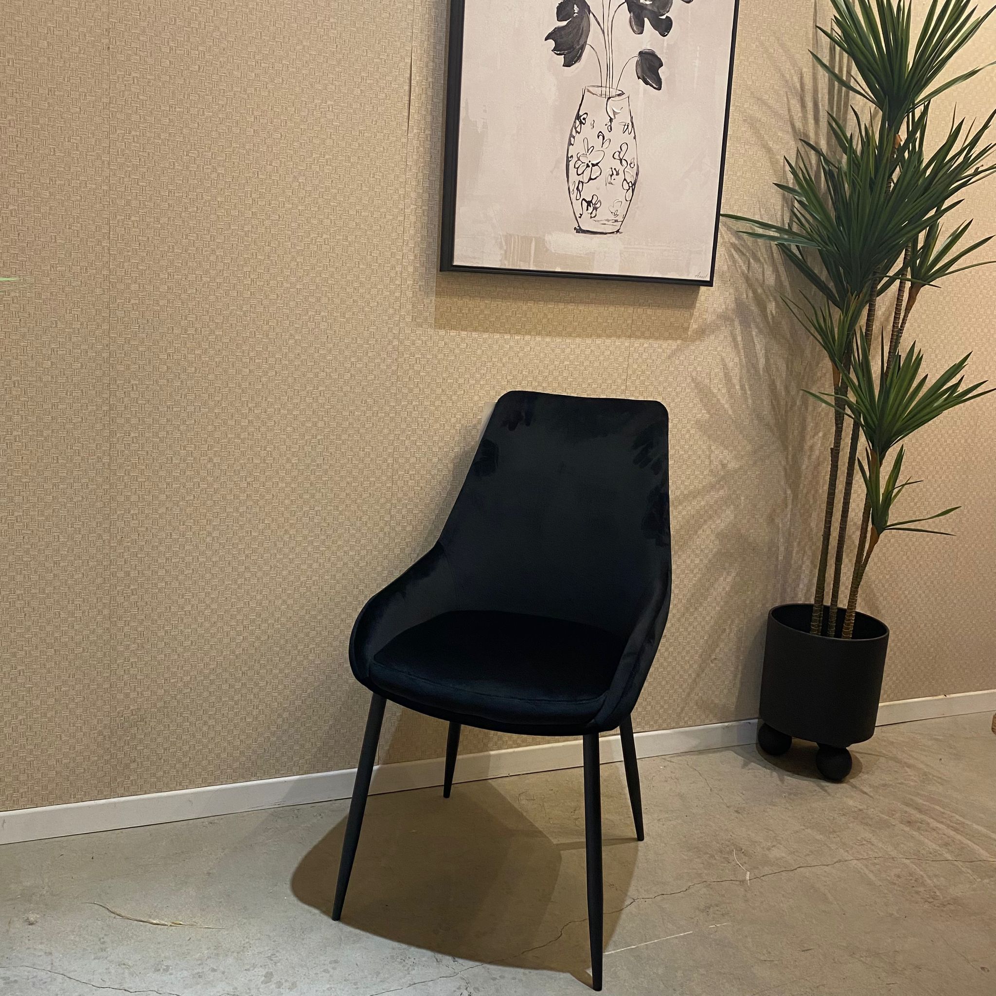 כיסא פינת אוכל דגם אופל קטיפה שחור כיסא פינת אוכל דגם אופל קטיפה שחור