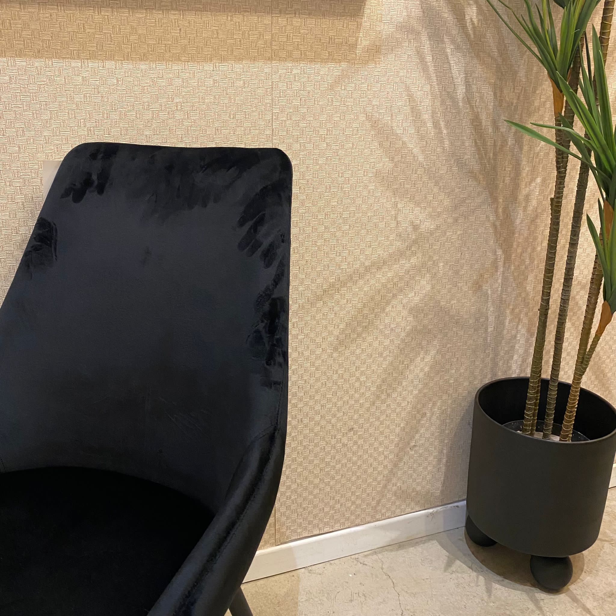 כיסא פינת אוכל דגם אופל קטיפה שחור כיסא פינת אוכל דגם אופל קטיפה שחור