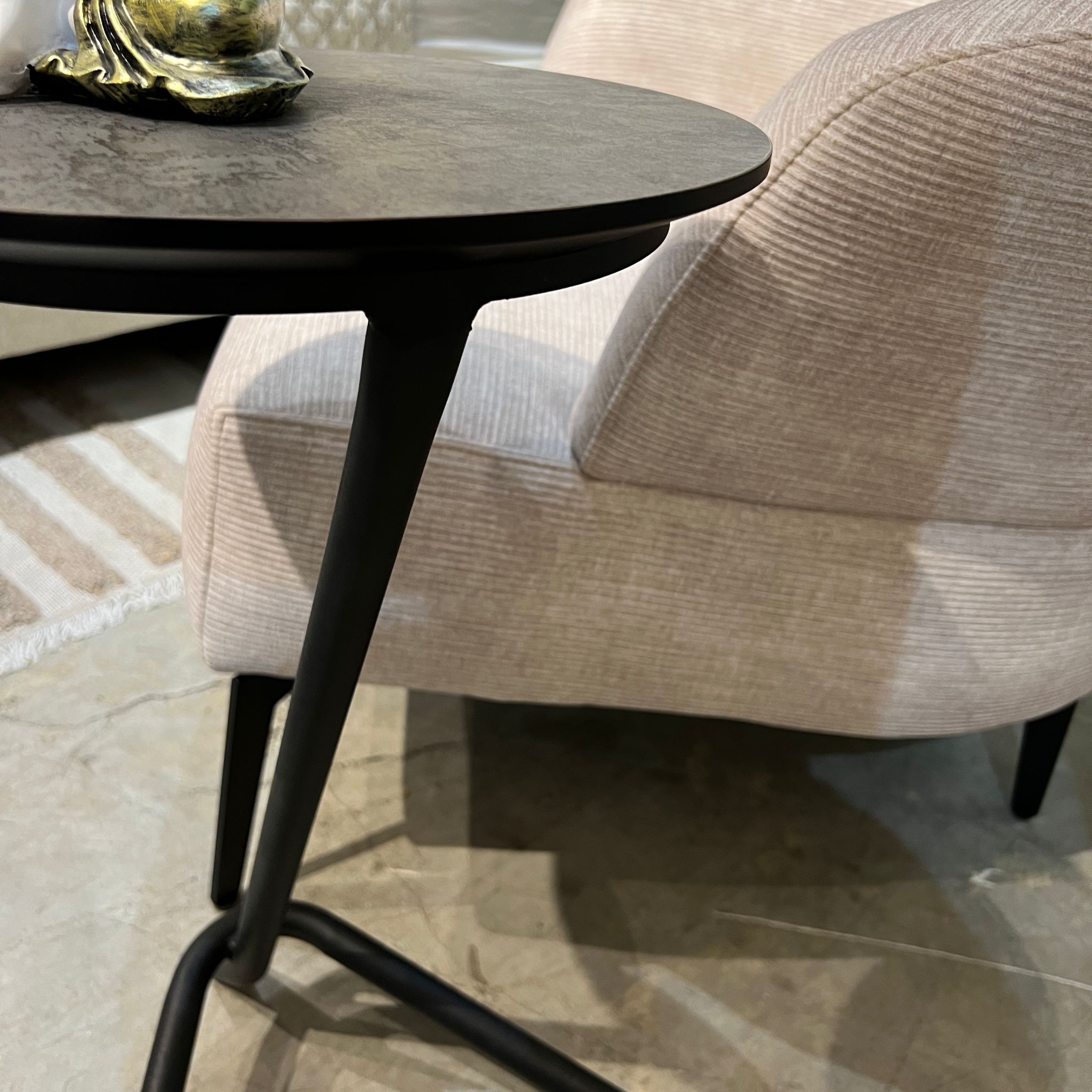 נשכן עגול דגם ניוזאן נשכן עגול דגם ניוזאן