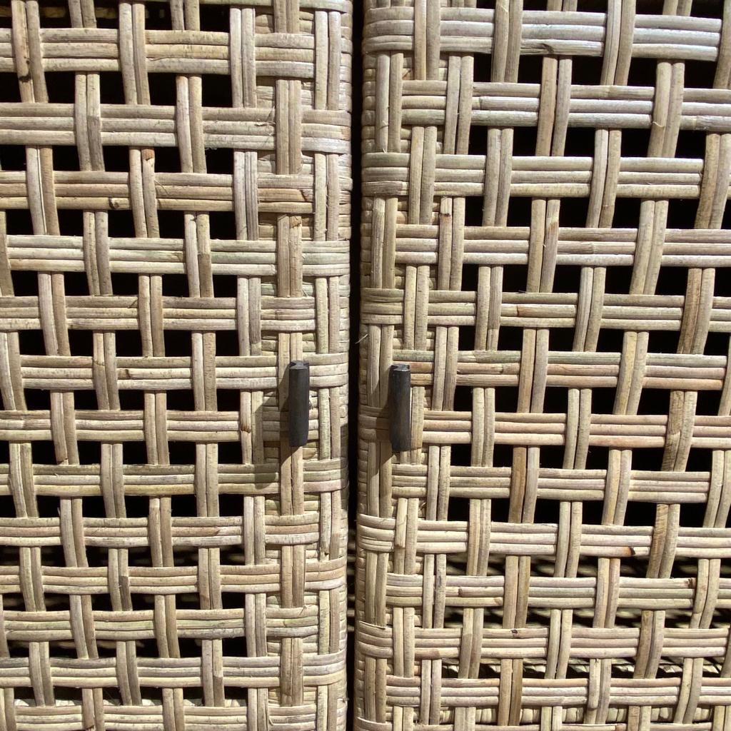 קומודה מעוצבת דגם ווד 2 דלתות עץ מנגו ראטן