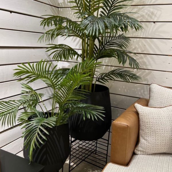 פלנטר דגם ראבי שחור