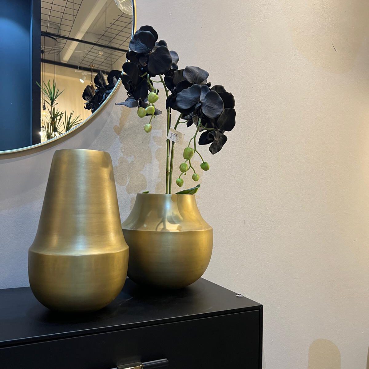 כד אולימפוס דגם ראבי זהב כד אולימפוס דגם ראבי זהב