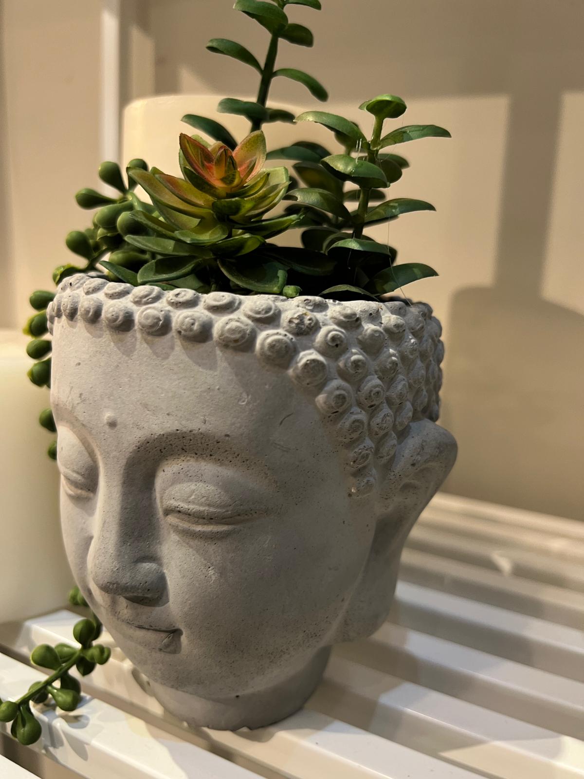 כד פנים בטון עם עציץ כד פנים בטון עם עציץ