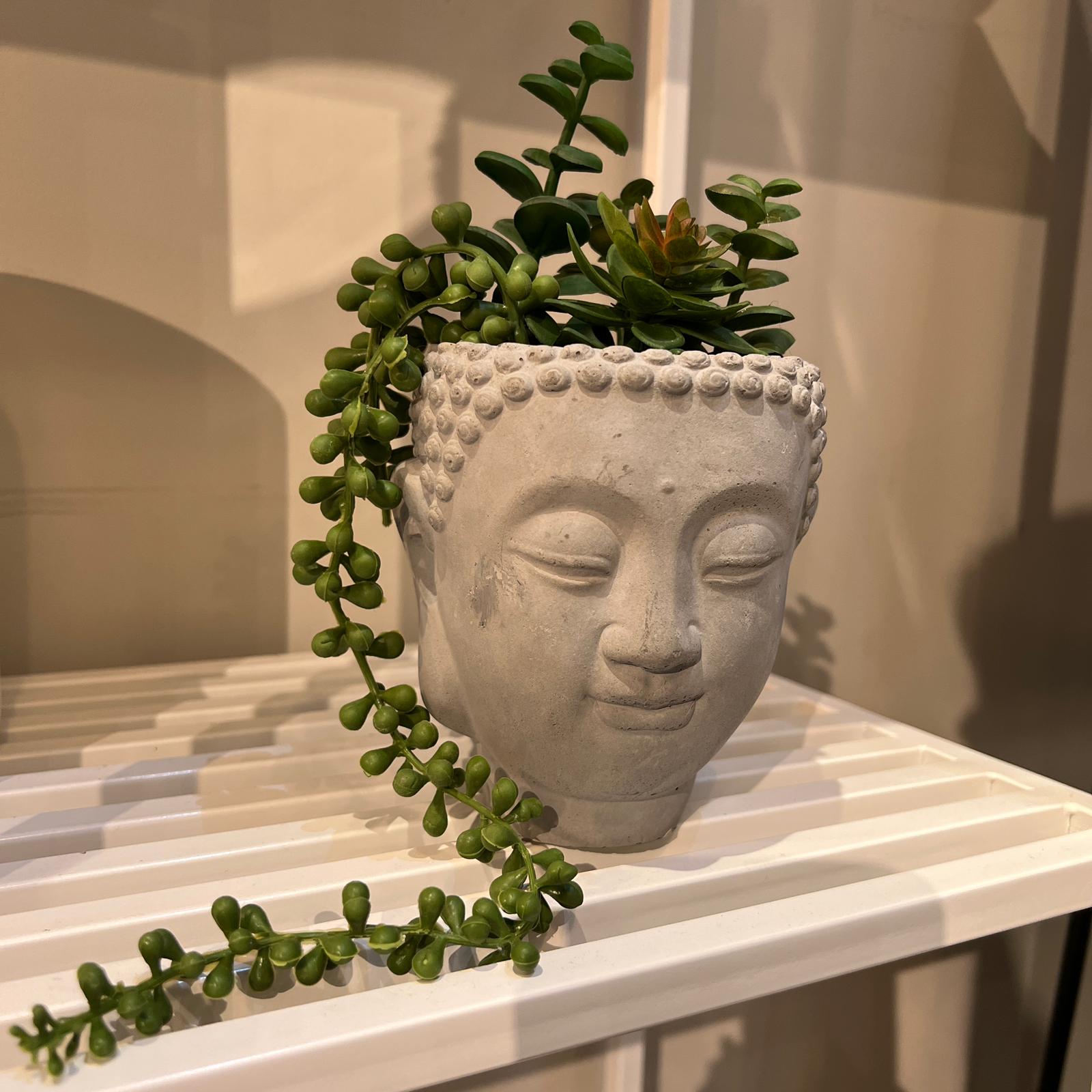 כד פנים בטון עם עציץ כד פנים בטון עם עציץ