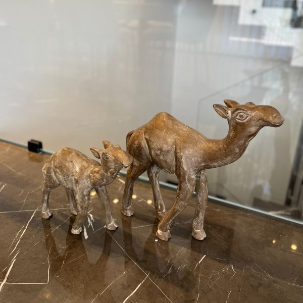 גמל עץ דגם אמבסדור