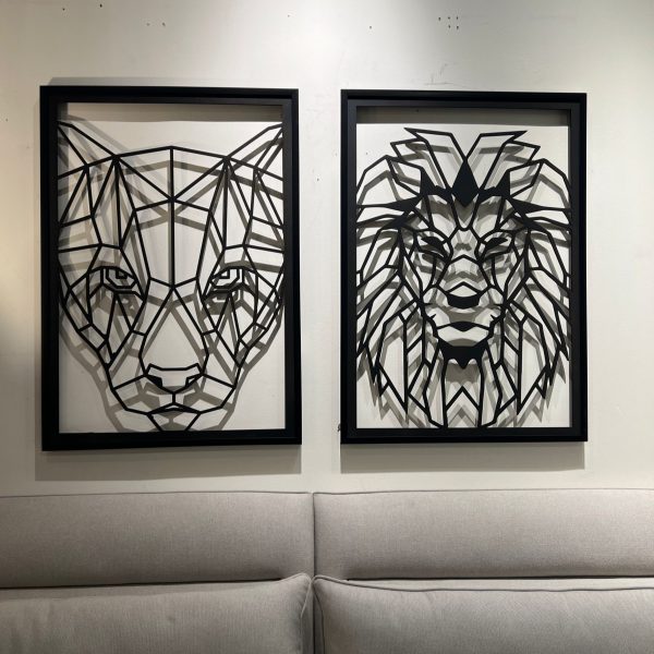 תמונת לייזר 70/100 סמ