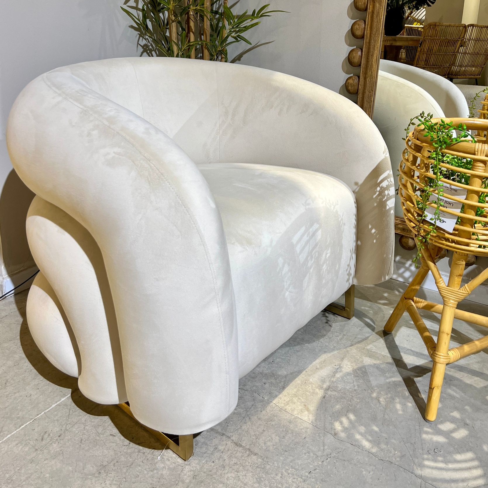 כורסא מודרנית קטיפה שמנת דגם בלה ויויאן