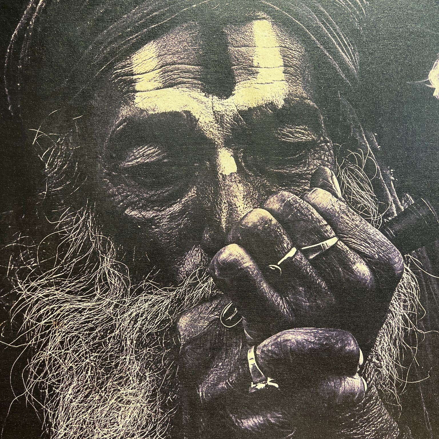 תמונה דגם אמבסדור זקן תמונה דגם אמבסדור זקן