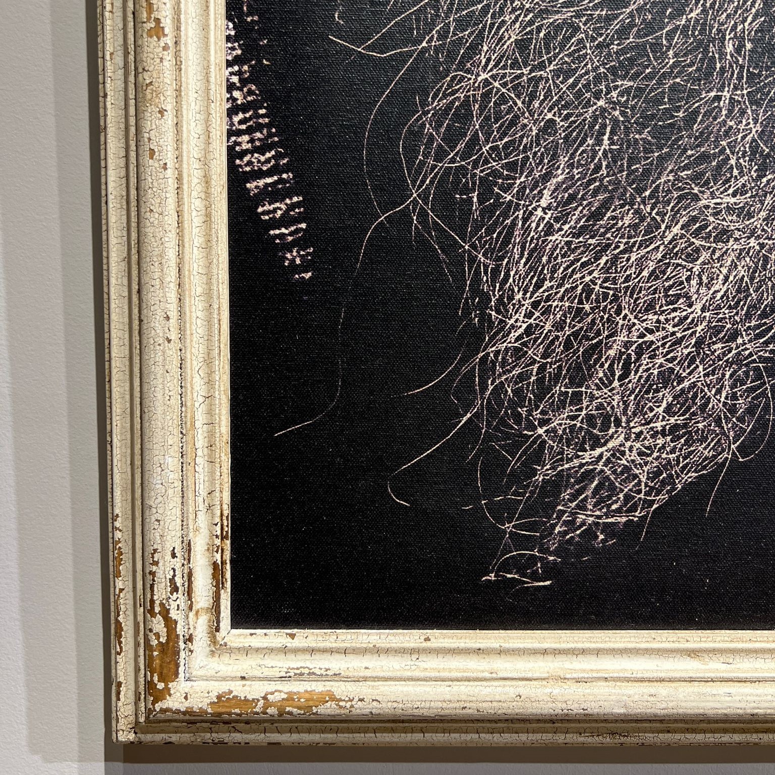 תמונה דגם אמבסדור זקן תמונה דגם אמבסדור זקן