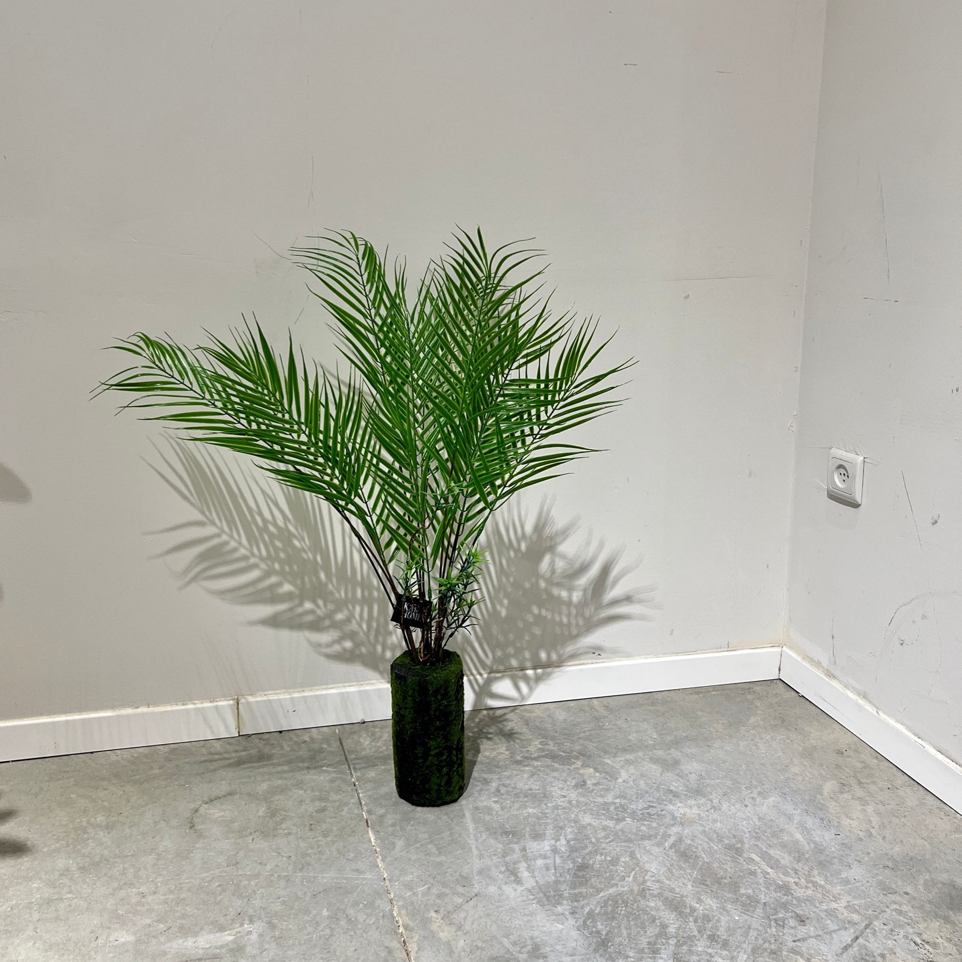 עציץ דקל עדין בסיס ירוק דשא דגם איקו עציץ דקל עדין בסיס ירוק דשא דגם איקו