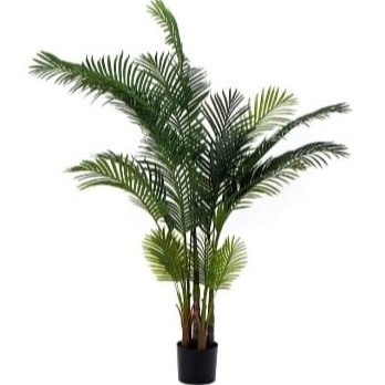 עציץ טרופיקל פאלם 180 ס״מ