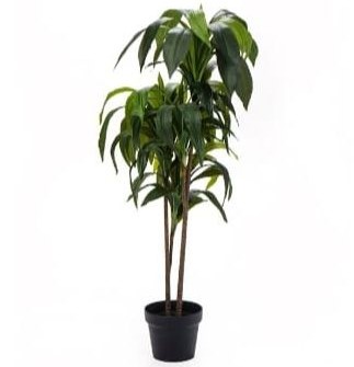 עציץ טרופיקל פאלם 90 ס״מ