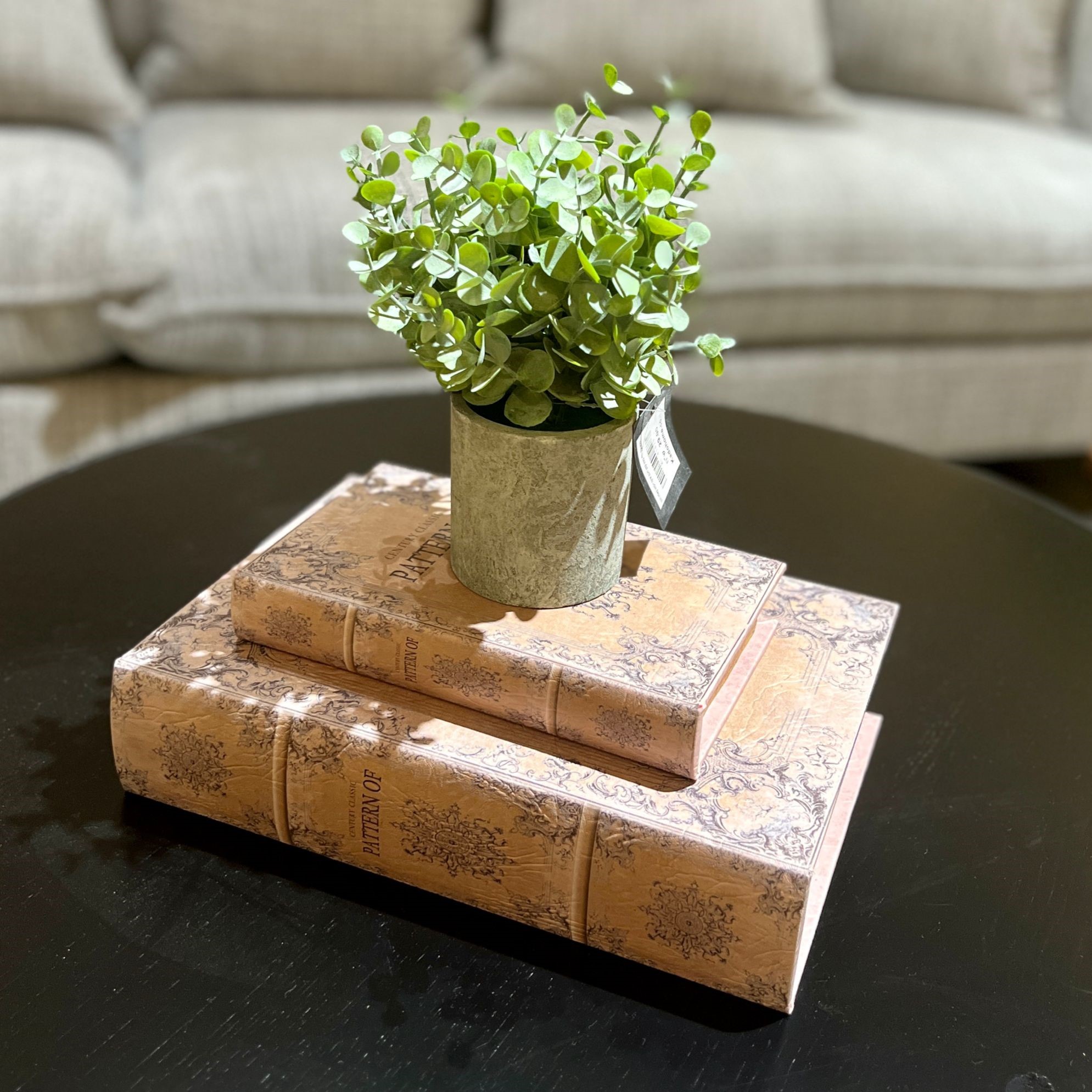 עציץ ירק כלי בטון קטן דגן איקו עציץ ירק כלי בטון קטן דגן איקו