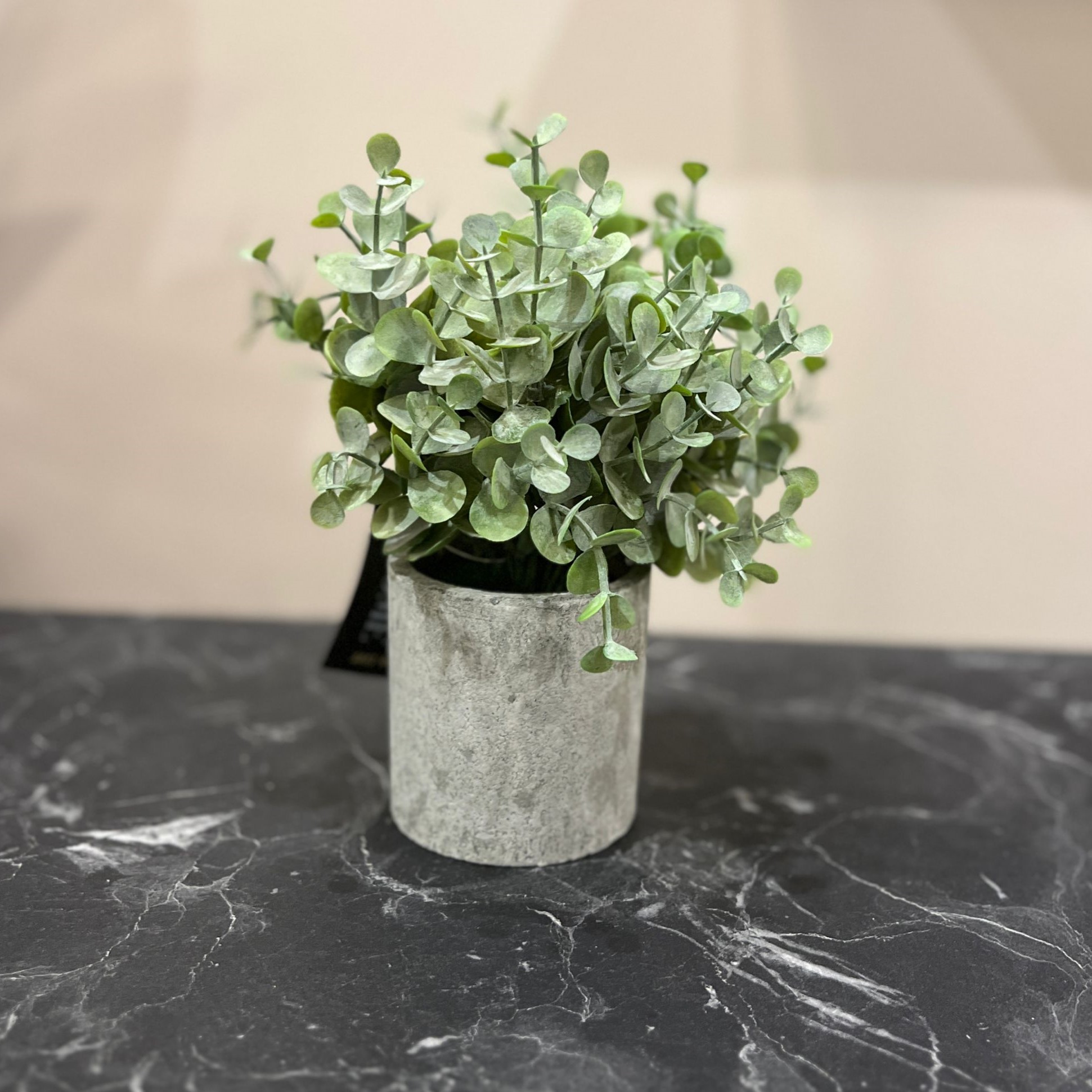 עציץ ירק כלי בטון קטן דגן איקו עציץ ירק כלי בטון קטן דגן איקו