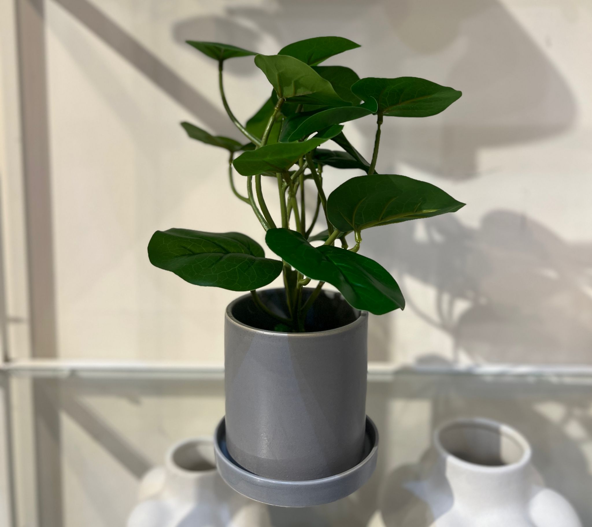 עציץ כלי אפור עלים ירוקים דגם איקו עציץ כלי אפור עלים ירוקים דגם איקו