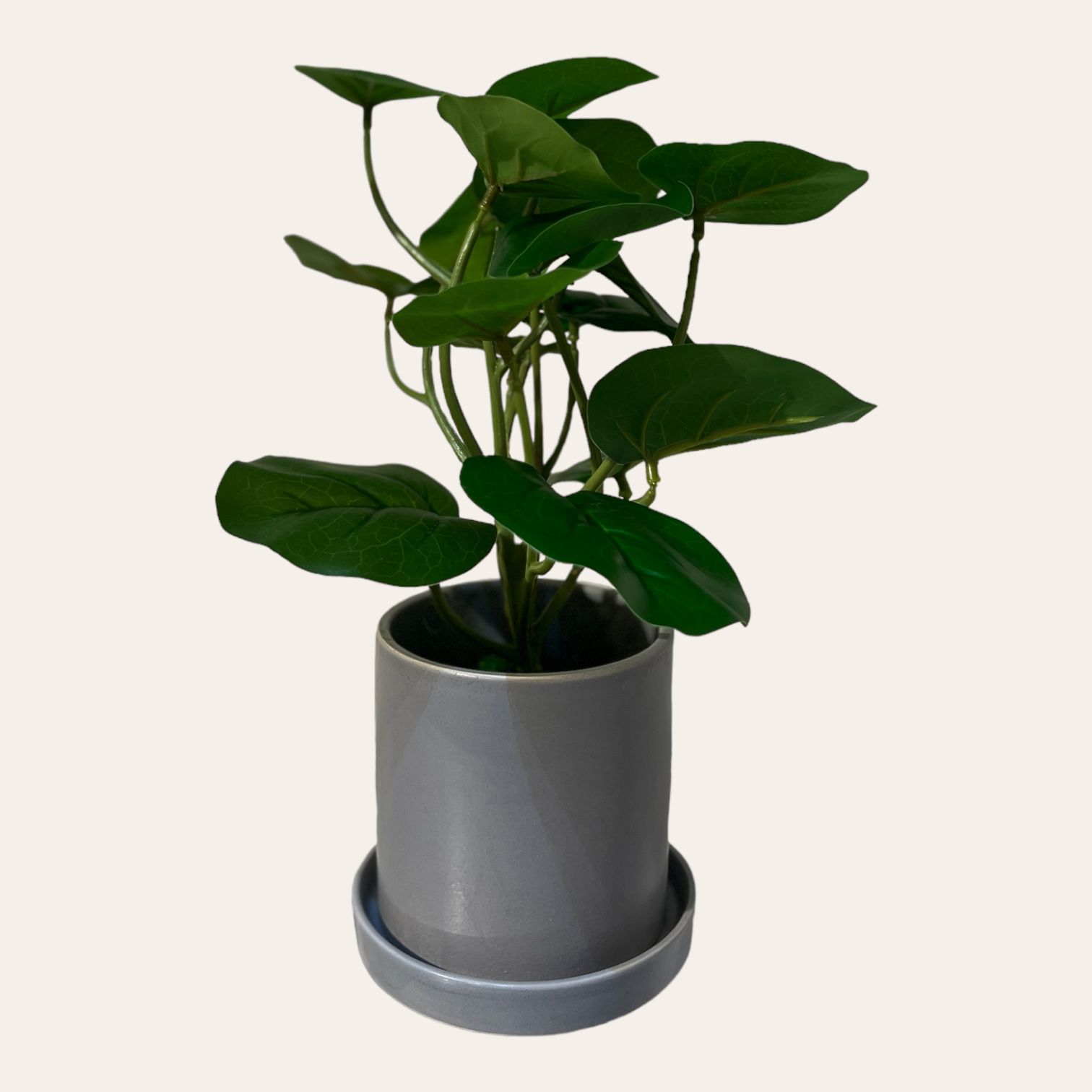 עציץ כלי אפור עלים ירוקים דגם איקו עציץ כלי אפור עלים ירוקים דגם איקו