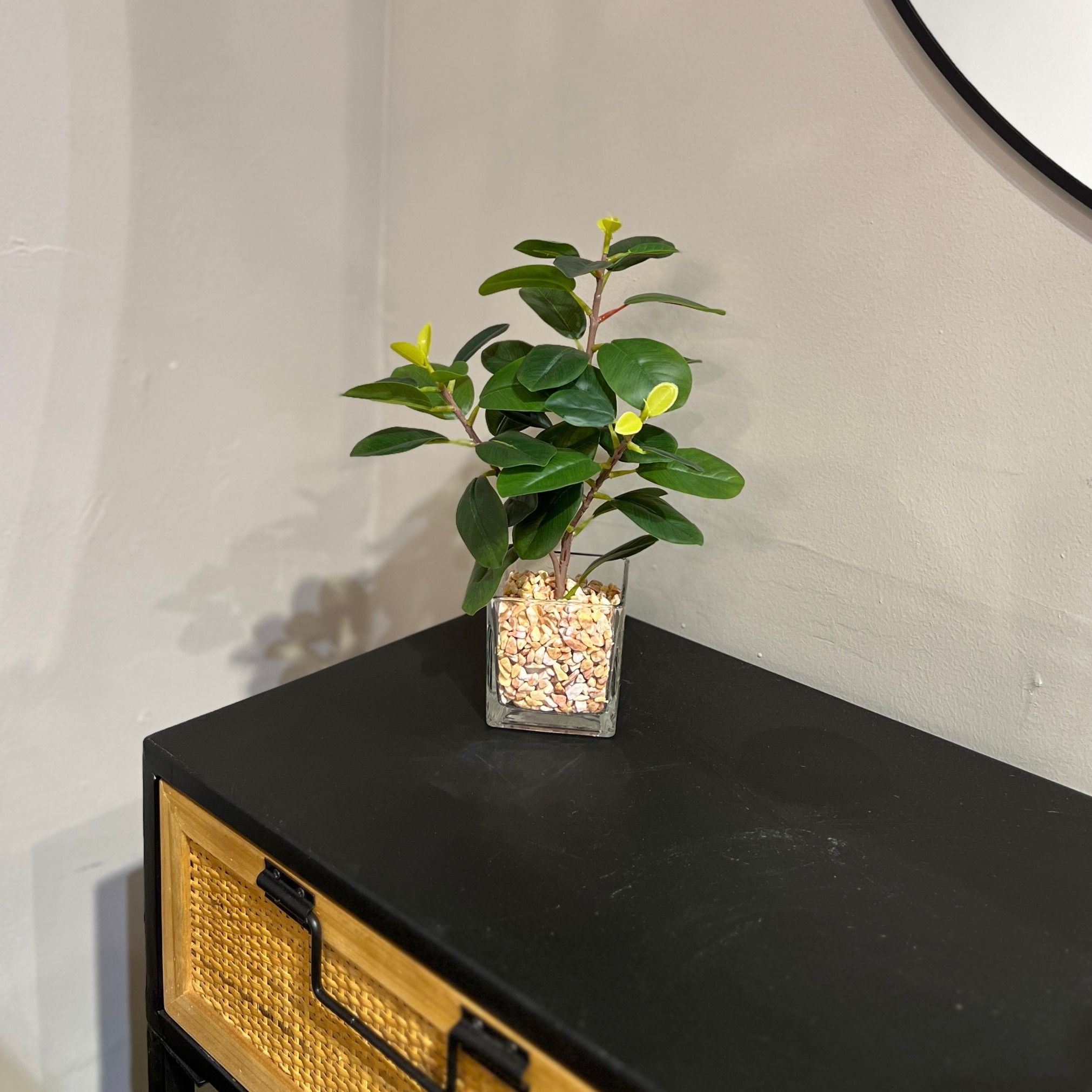 עציץ כלי זכוכית אבנים דגם איקו עציץ כלי זכוכית אבנים דגם איקו