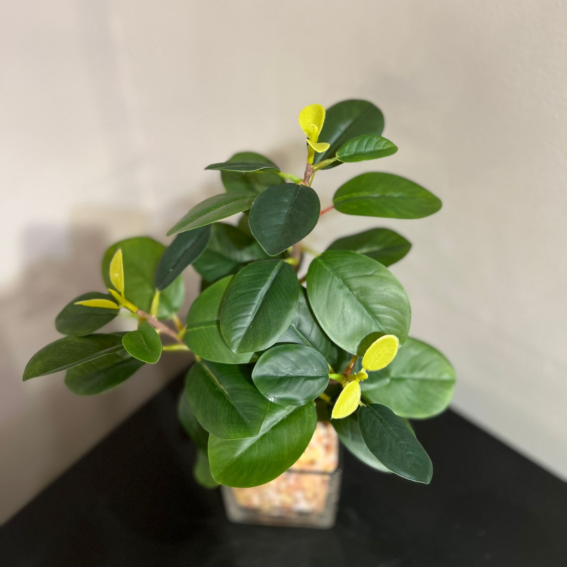 עציץ כלי זכוכית אבנים דגם איקו עציץ כלי זכוכית אבנים דגם איקו