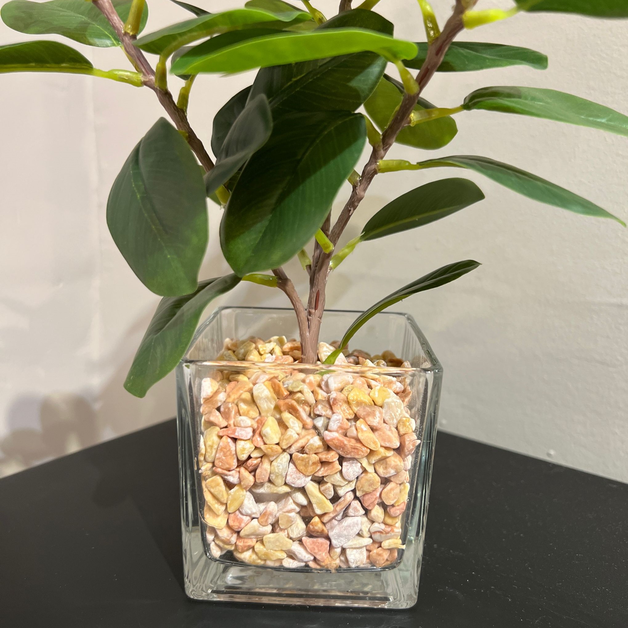 עציץ כלי זכוכית אבנים דגם איקו עציץ כלי זכוכית אבנים דגם איקו