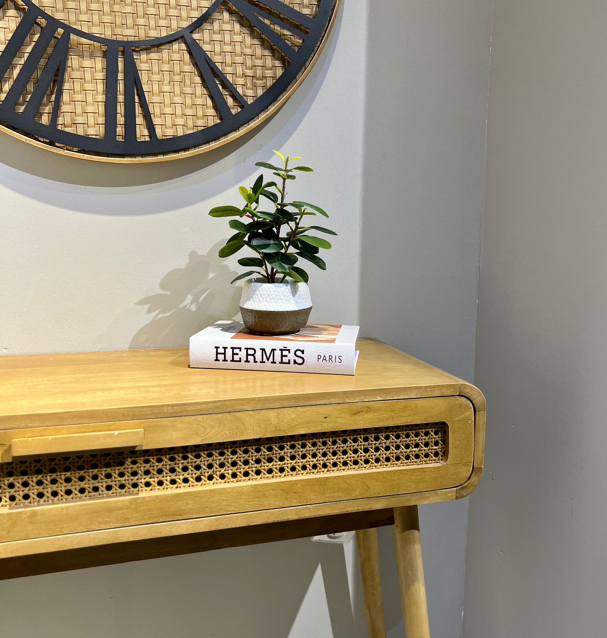 עציץ כלי נסקפה לבן חצוי דגם איקו עציץ כלי נסקפה לבן חצוי דגם איקו