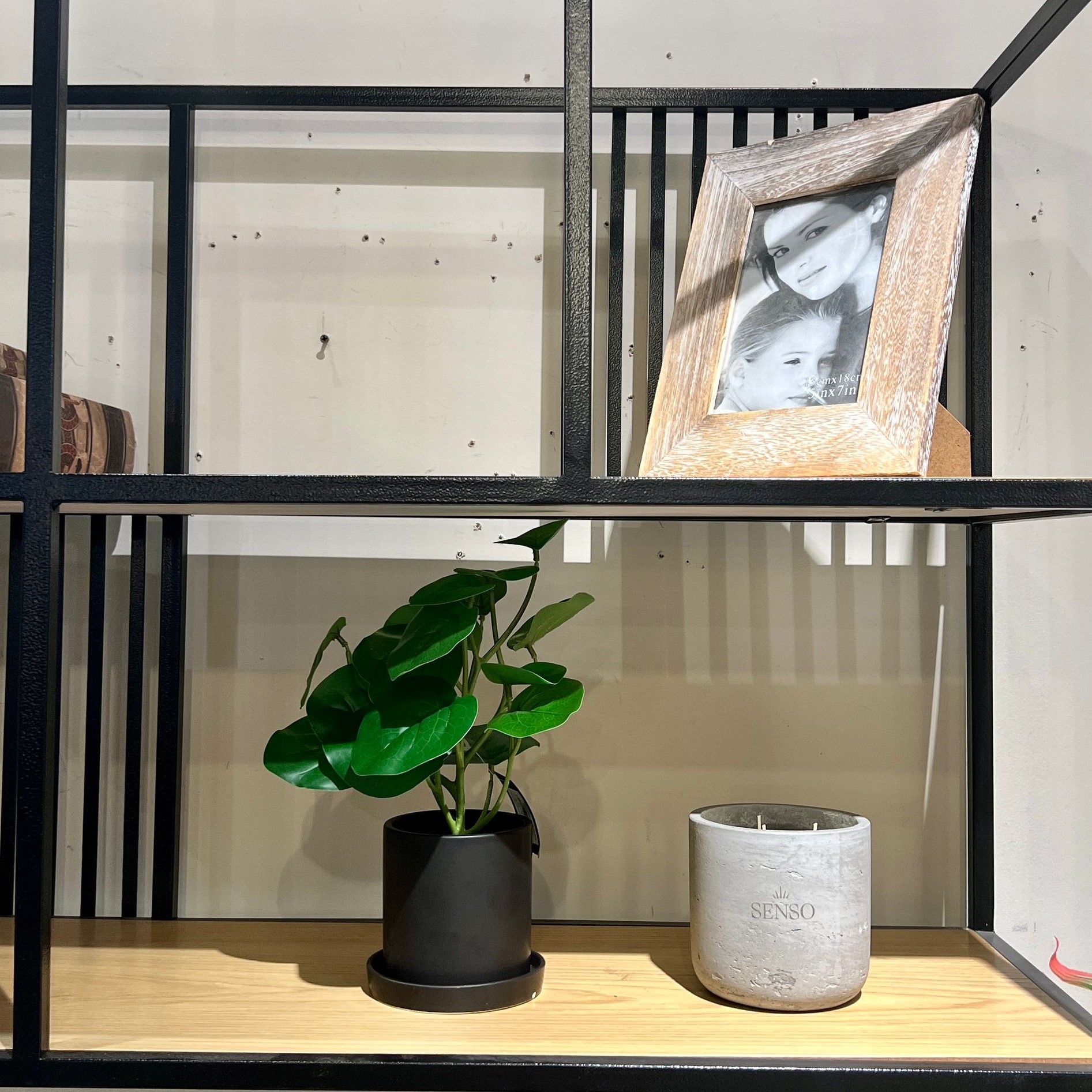 עציץ כלי שחור עלים ירוקים דגם איקו עציץ כלי שחור עלים ירוקים דגם איקו