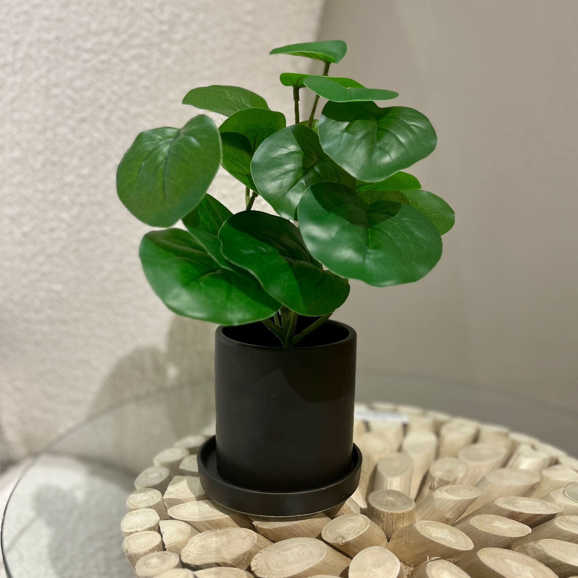 עציץ כלי שחור עלים ירוקים דגם איקו עציץ כלי שחור עלים ירוקים דגם איקו