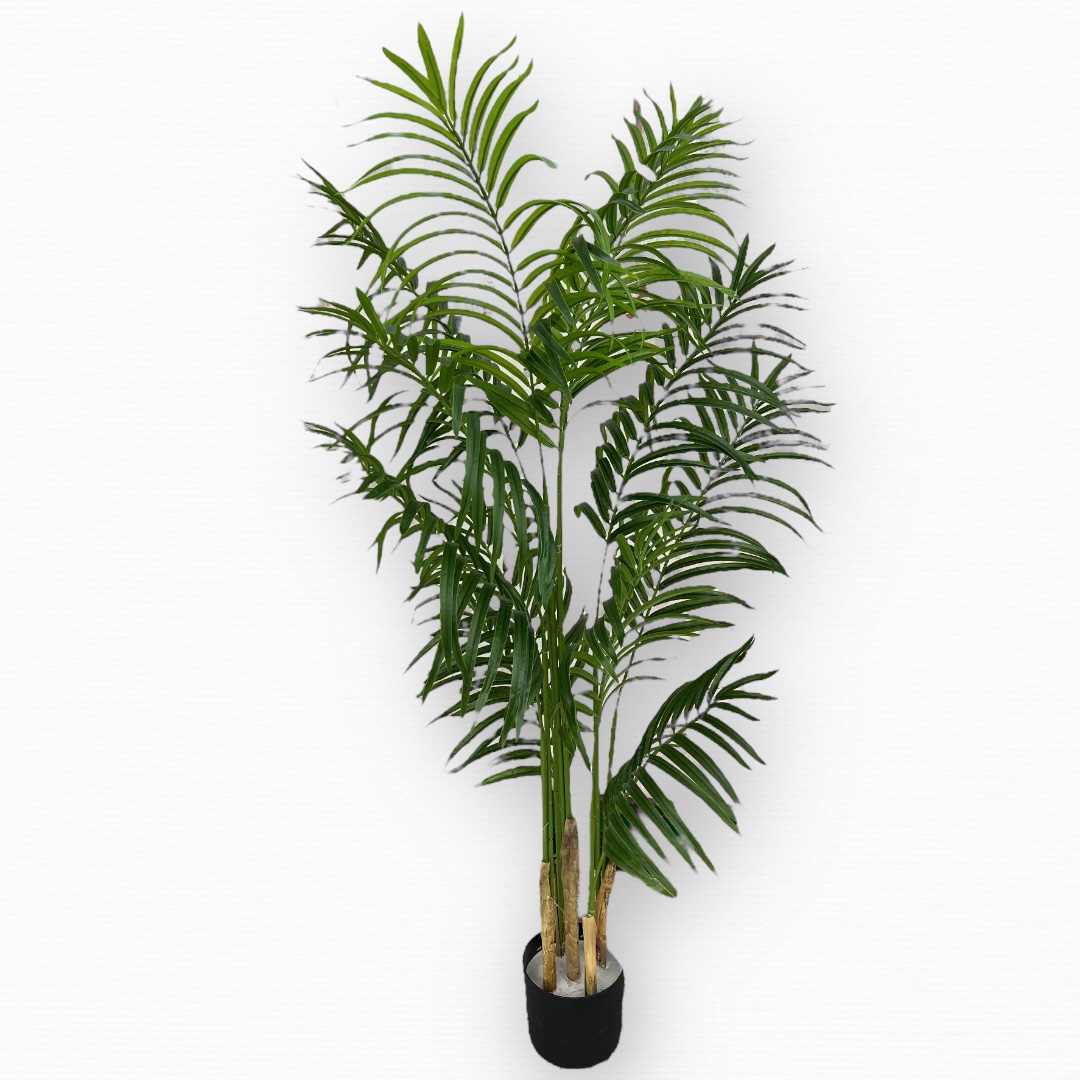 עץ עציץ דקל גובה 150 דגם איקו