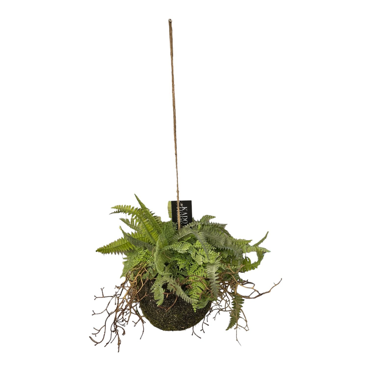 עציץ בסיס עגול ירק עציץ בסיס עגול ירק