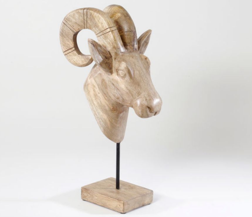 ראש אייל גולי