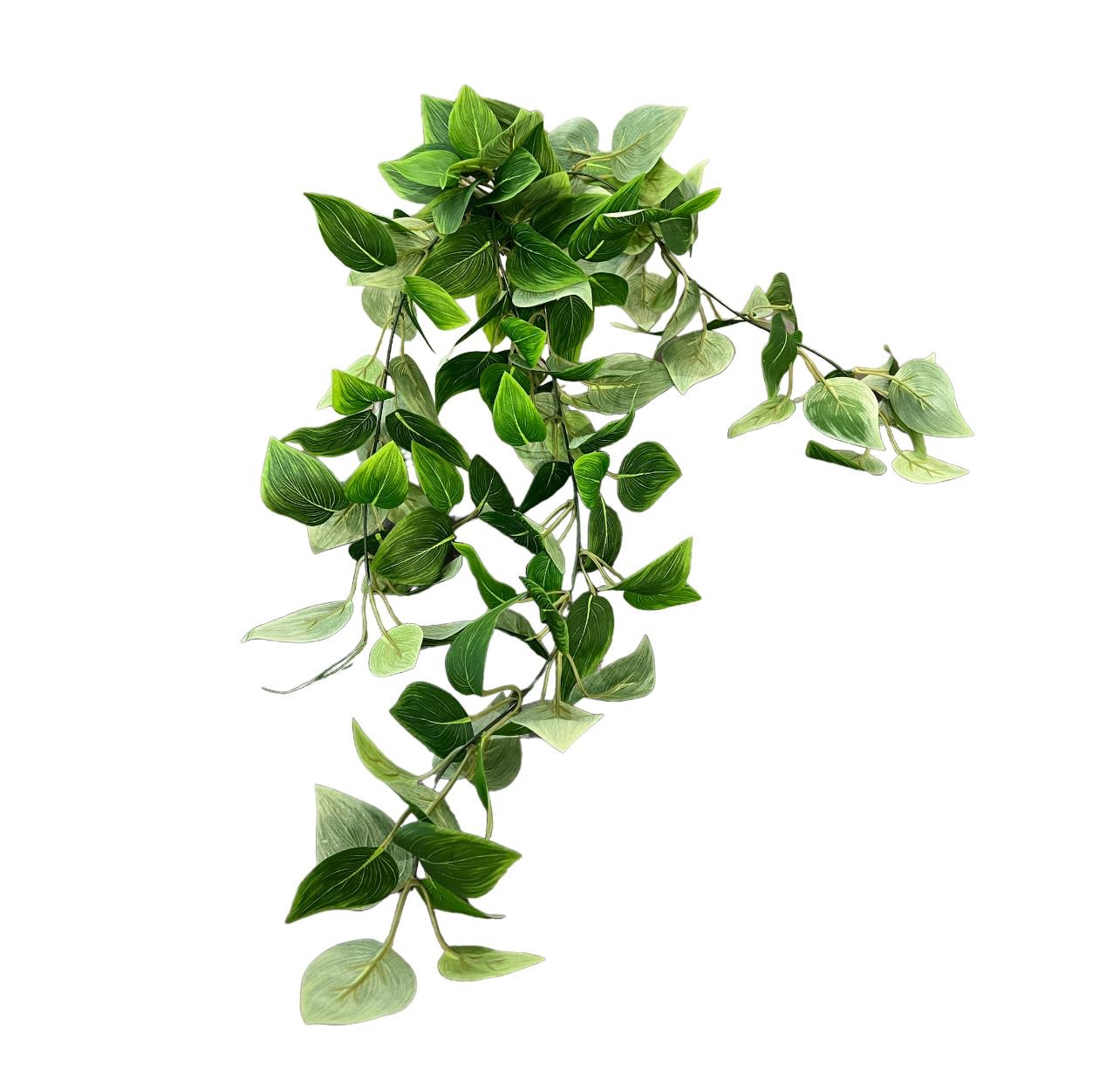 ענף ירק נשפך עלים רחבים דגם איקו ענף ירק נשפך עלים רחבים דגם איקו