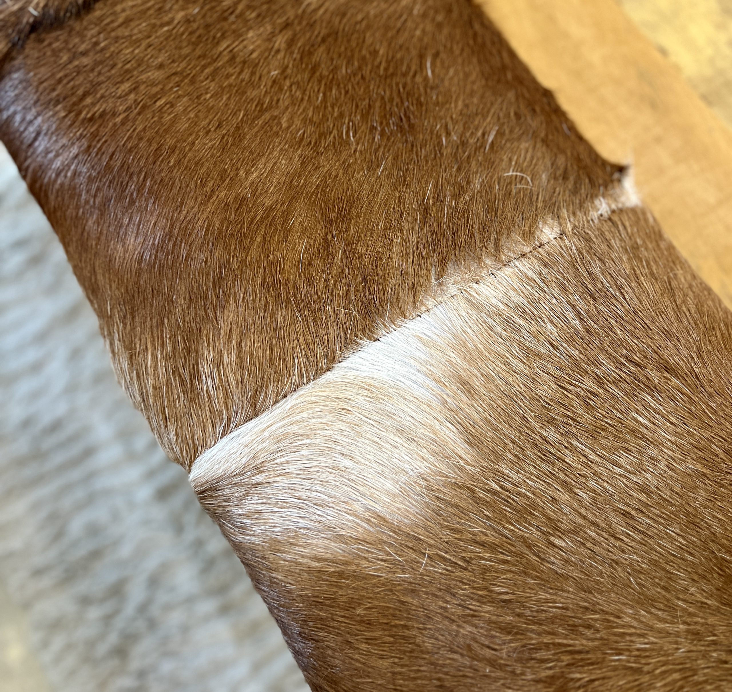 ספסל דגם אניס ספסל דגם אניס