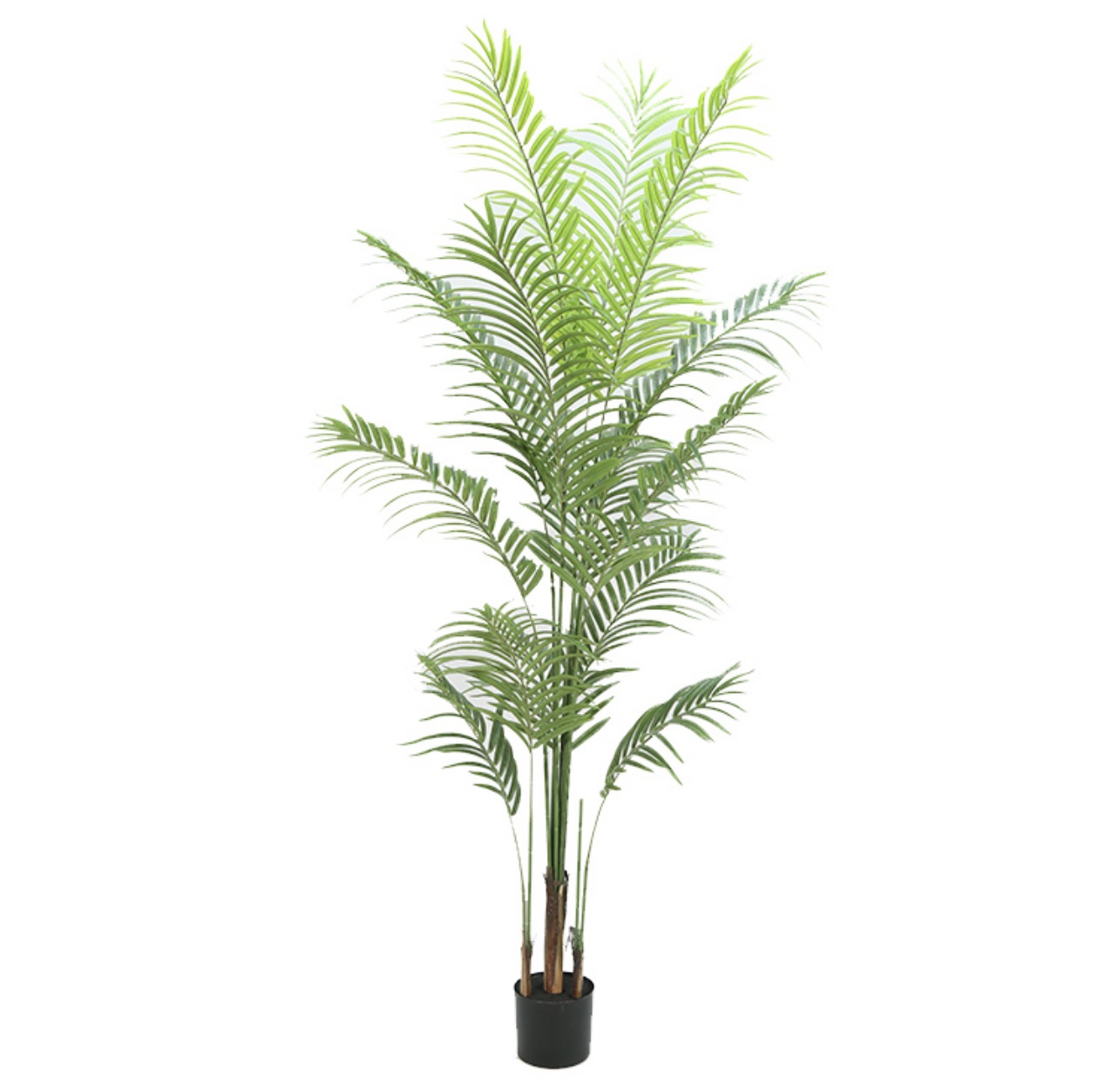 עץ עציץ דקל גובה 150 דגם אליס עץ עציץ דקל גובה 150 דגם אליס