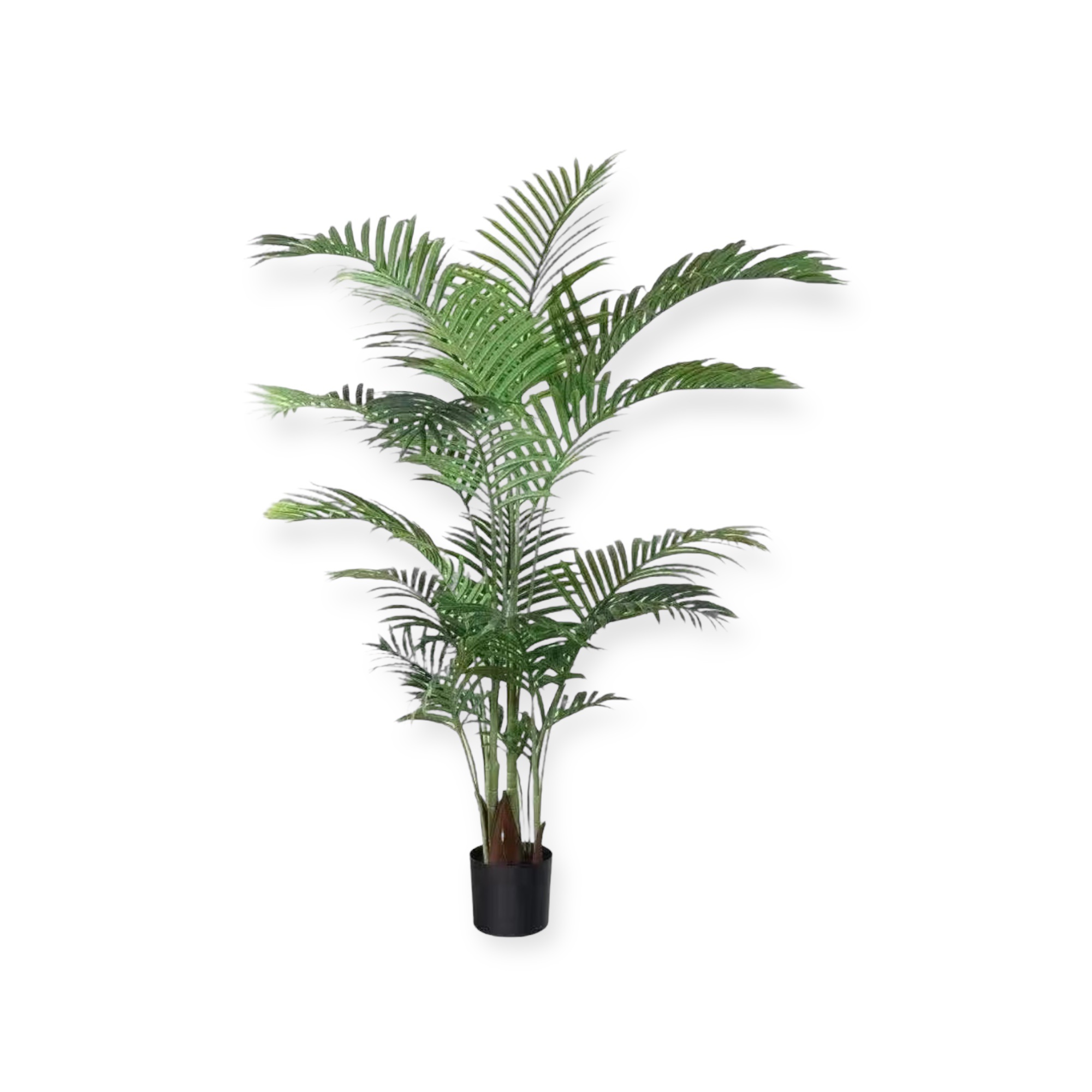 עץ עציץ דקל גובה 160 דגם אליס עץ עציץ דקל גובה 160 דגם אליס