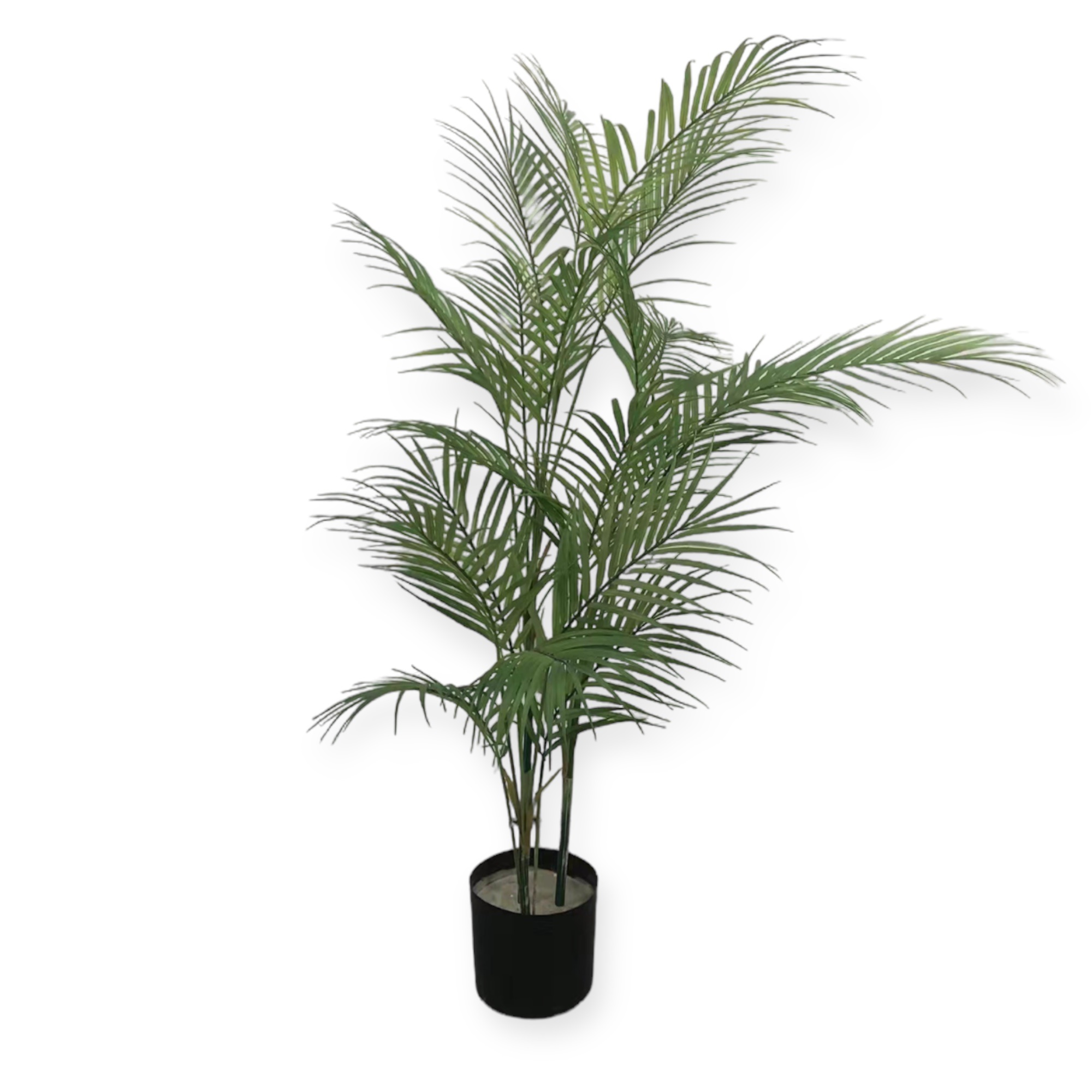 עץ עציץ דקל עלים עדינים גובה 130 ס״מ דגם אליס עץ עציץ דקל עלים עדינים גובה 130 ס״מ דגם אליס