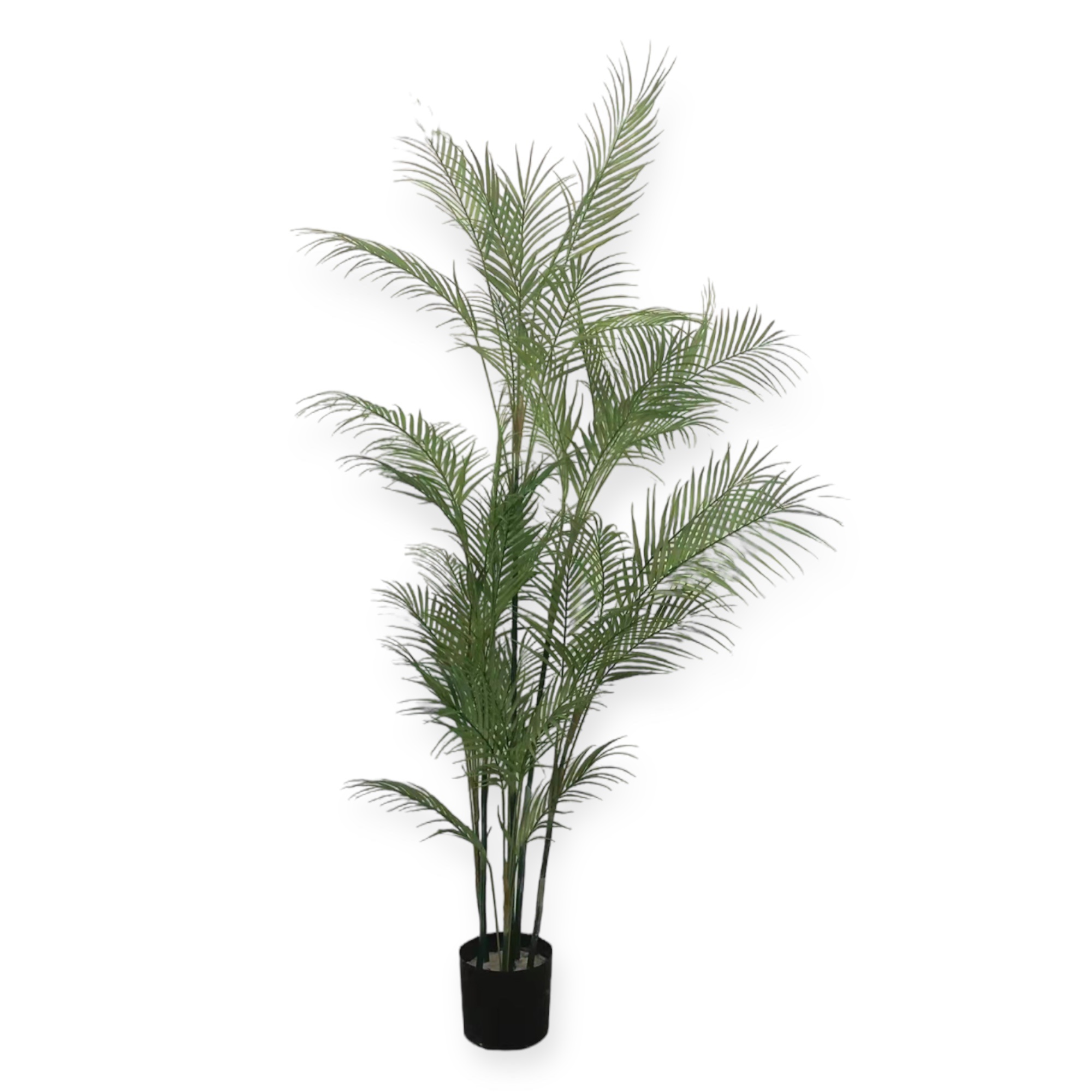 עץ עציץ דקל עלים עדינים גובה 188 ס״מ דגם אליס