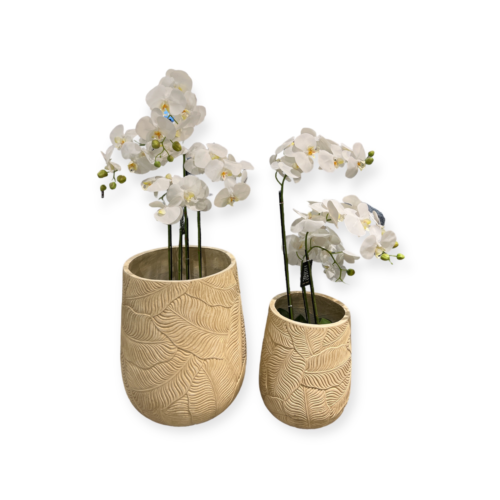 כד עלים חרוטים בז דגם איקו כד עלים חרוטים בז דגם איקו