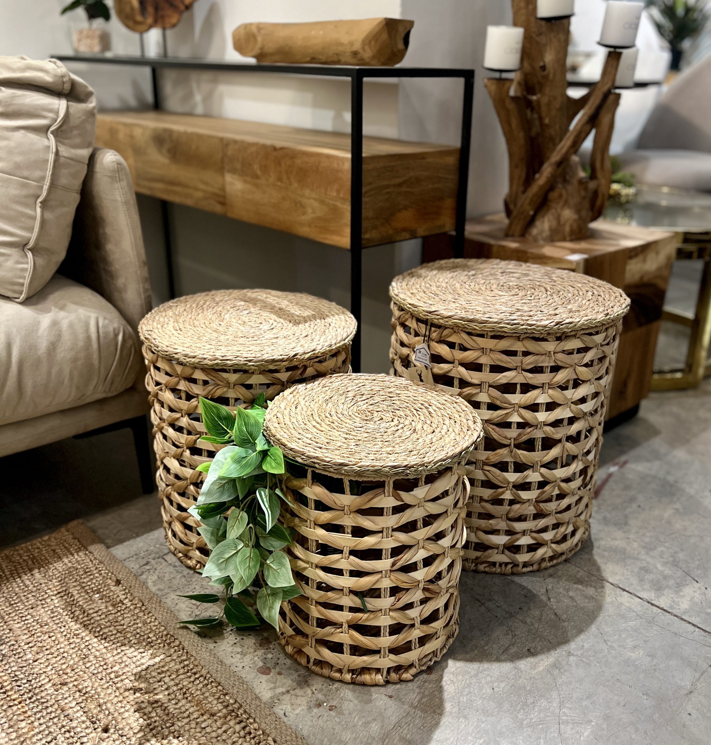 סל קש עגול עם מכסה דגם אליס סל קש עגול עם מכסה דגם אליס