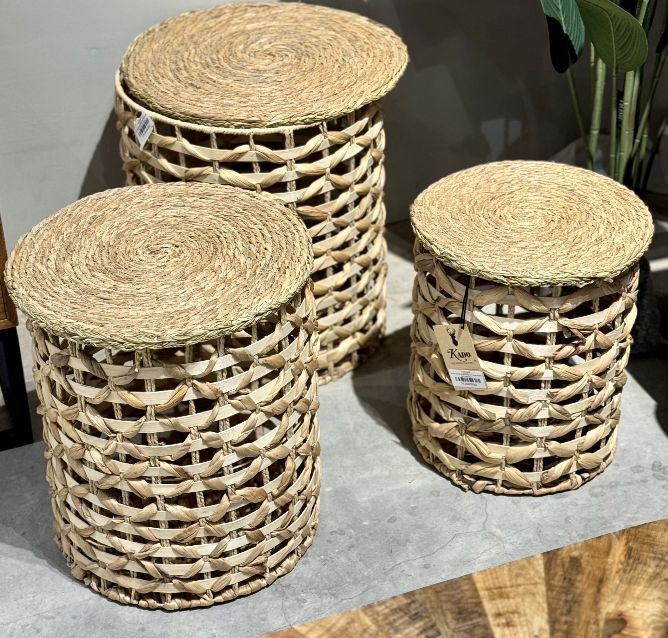 סל קש עגול עם מכסה דגם אליס סל קש עגול עם מכסה דגם אליס