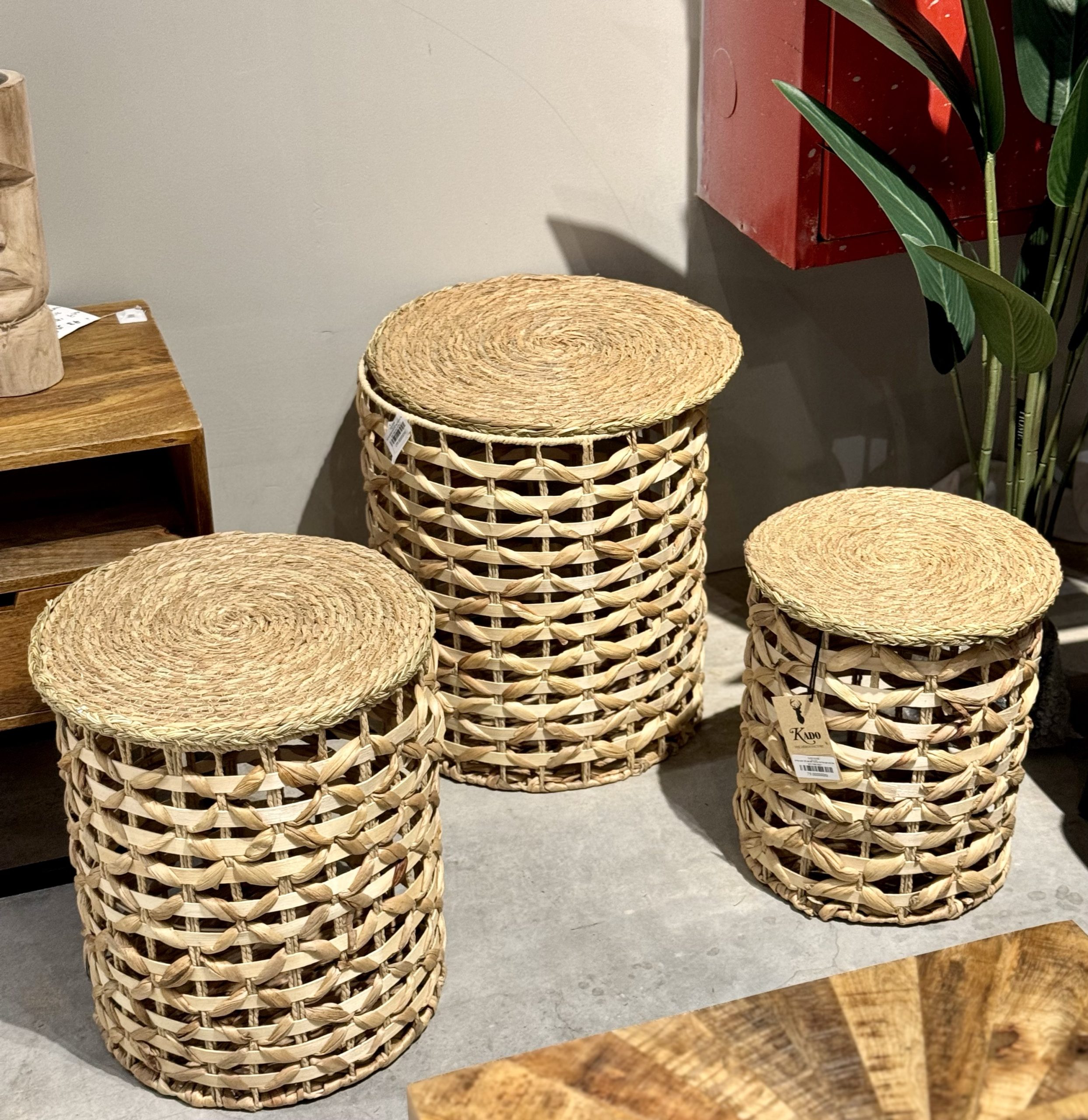 סל קש עגול עם מכסה דגם אליס סל קש עגול עם מכסה דגם אליס